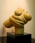 fonzo